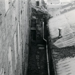 Black and White Prints